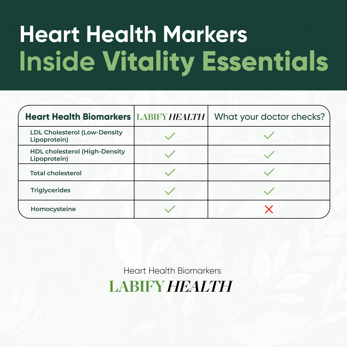 Vitality Essentials