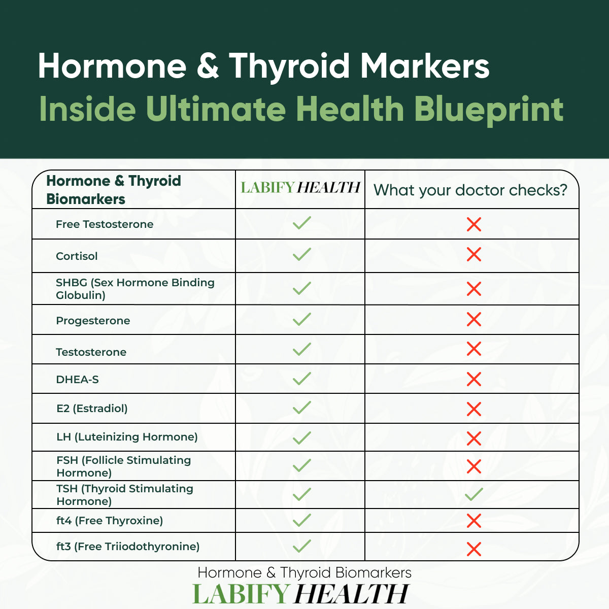 The Ultimate Health Blueprint