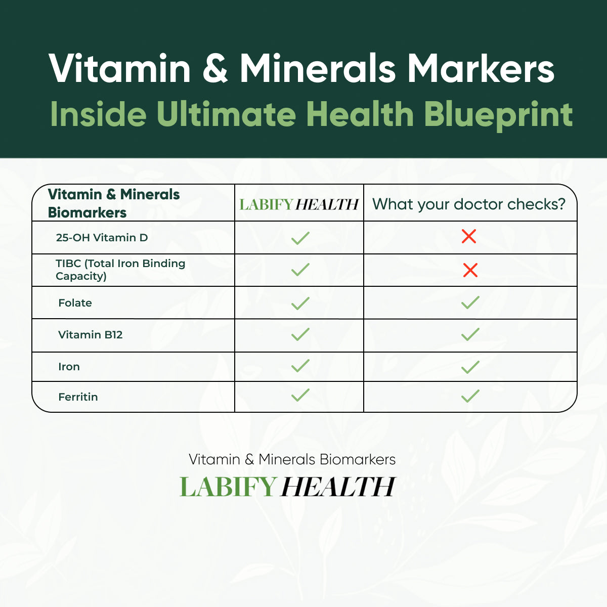 The Ultimate Health Blueprint
