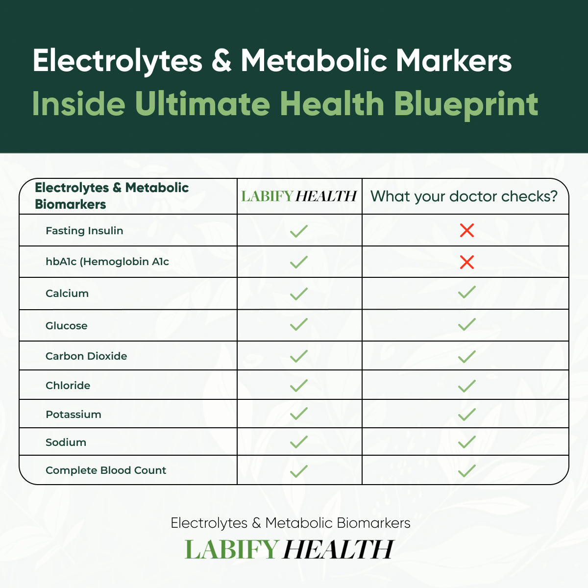 The Ultimate Health Blueprint