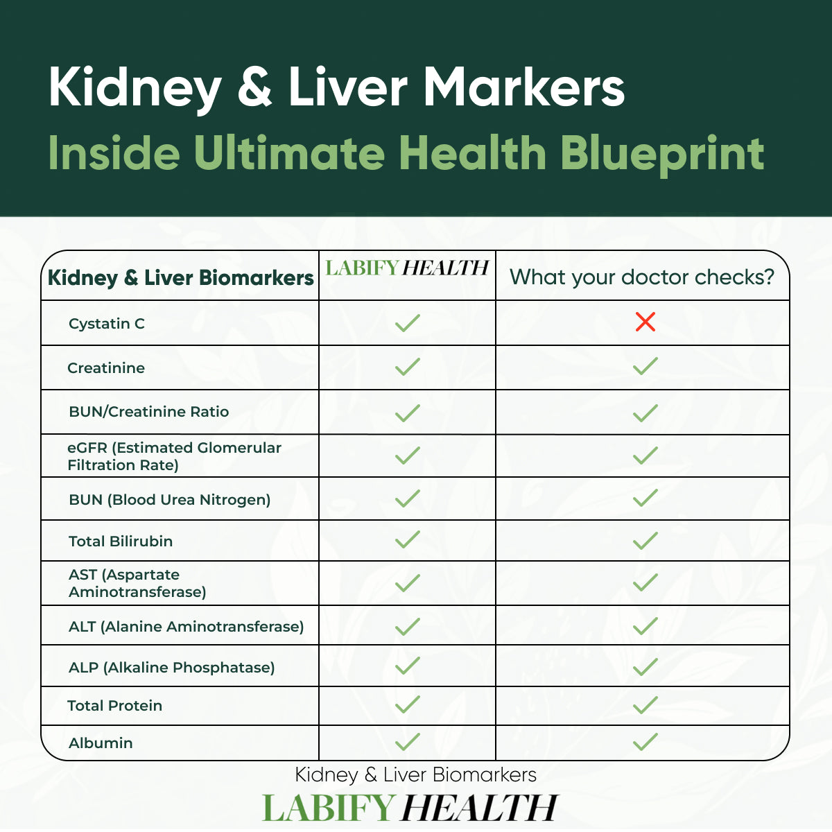 The Ultimate Health Blueprint