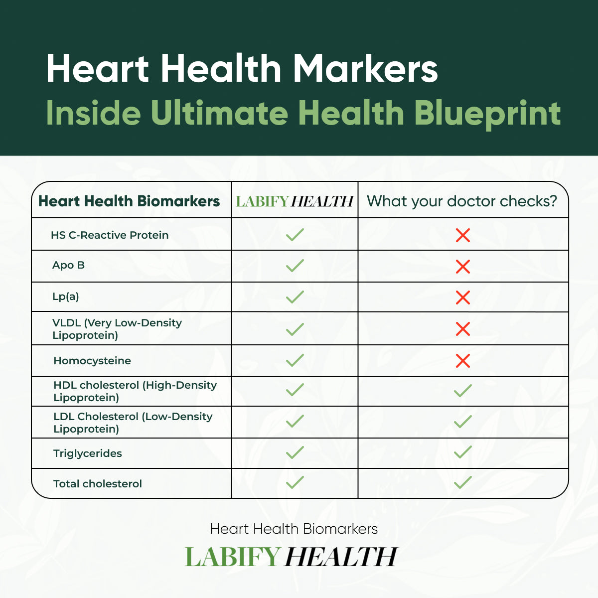 The Ultimate Health Blueprint