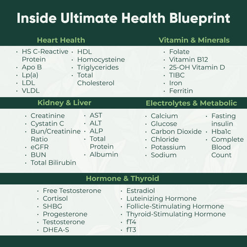 The Ultimate Health Blueprint